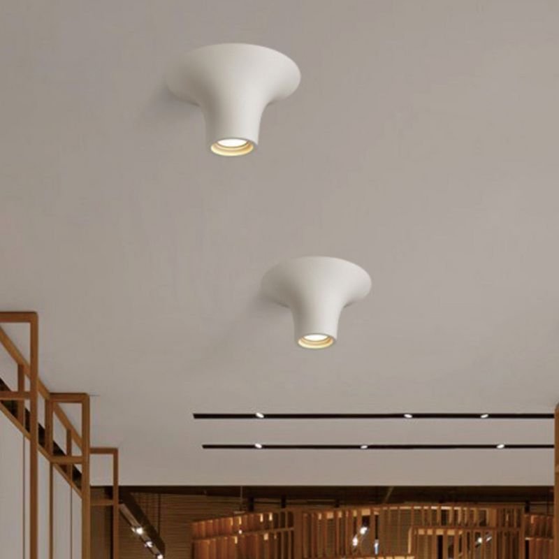 plaster ceiling lights