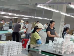 tenseng_assembly_workshop2